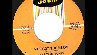 True Tones  Hes Got The Nerve Josie 950 1965 [upl. by Mani]