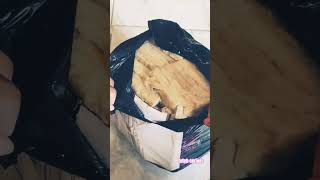 Unboxing Rockwool buat tanam hidroponik vlogpemulaunboxingrockwooltanamanhidroponiksubscribe [upl. by Duck]