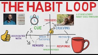 4 stages of The Habit Loop [upl. by Eelsha]