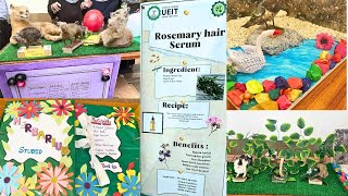 Science Exhibition In University🌸 Department Of Zoology amp Botany FINAL YEAR PRODUCTS AND MODELS🏕️ [upl. by Ahcsat]