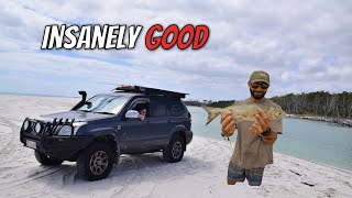 Fraser Island 4wd Paradise  Fishing and Exploring the Biggest Sand Island in the World  pt2 [upl. by Goldy]