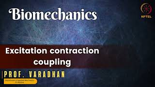 Excitation contraction coupling [upl. by Janith]