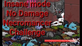 My Quest To Beating The Insane Mode No Damage Necromancer Challenge [upl. by Witkin]