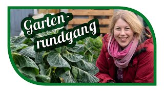 Unsere Aussaat im Januar und Kartoffeln im Winter ernten  Unser Gartenrundgang [upl. by Eenal832]