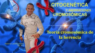 Short video motivacional de la Conferencia 3 La Teoría cromosómica de la herencia [upl. by Nrublim8]