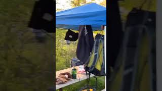 Video of Kilen Woods State Park MN from Matthew H [upl. by Aynod178]