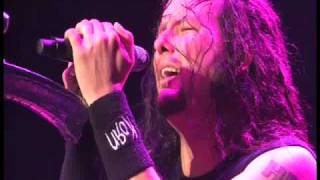 Korn  Another brick in the wall  Pink floyd cover Exelent live version [upl. by Ielerol641]