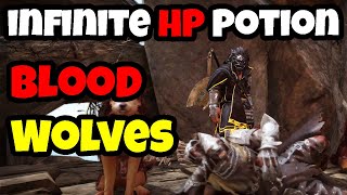 UPDATED Infinite HP Potion Guide  Blood Wolves  Ash Halfmoon Kagtunak [upl. by Cantone235]