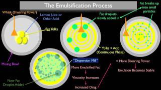 The Emulsification Process [upl. by Adni]