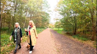 Relaxing London Autumn Nature Walk Through Wimbledon Common ASMR 4K [upl. by Leizahaj787]