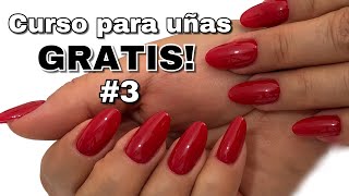 Clase 3 COMO APLICAR UÑAS ACRÍLICAS CON TIP NATURAL 💖 PRINCIPIANTES [upl. by Mcgray]