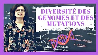 🧬 Diversité des mutations et génomes  Biologie prépa BCPST Terminale [upl. by Louella95]