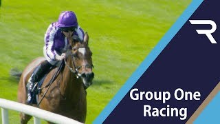 2019 Tattersalls Gold Cup  Racing TV [upl. by Eleanora]