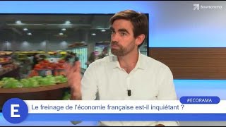 Le freinage de léconomie française estil inquiétant [upl. by Enineg]