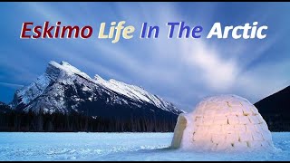 Eskimo Life In The Arctic [upl. by Etan]