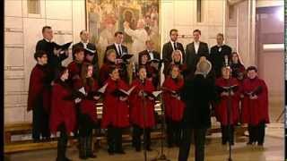 Akademicki Chór ORGANUM Chór CANTATA z Niepołomic 25 grudnia 2013r [upl. by Nnaecarg]