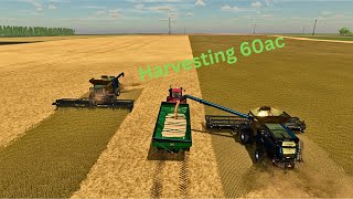 FS22 Big Fields XXL Harvesting A Small Wheat Field [upl. by Keefer]