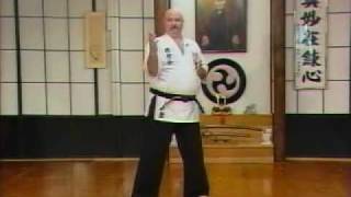 GojuRyu Karate  Frank Van Lenten  1994 [upl. by Nnyliak]