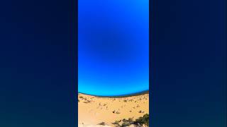 Pinnacles desert 🏜 🇦🇺 westernaustralia australia travel shortvideo shorts fyp [upl. by Beekman552]