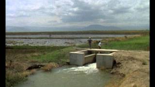 THE GREAT RUAHA RIVER Trailer [upl. by Ettesoj]