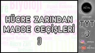 13 Hücre Zarından Madde Geçişleri 1 [upl. by Jeramey]