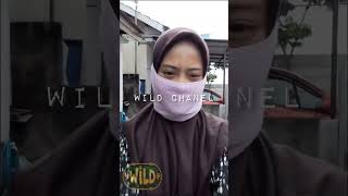 part204  MASKER TUTORIAL [upl. by Coh]