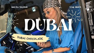 NAAR DUBAI MET HELE GEZIN DEEL 3  VLOG  MALIKA SAYMAK [upl. by Odille]