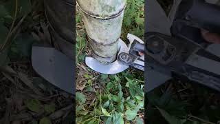 How Can Bamboo Cutting Shear cuttingtrees [upl. by Eenhpad]