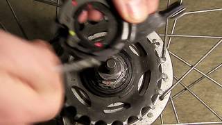 Shimano Nexus Alfine 78 Gear cassette Installing and adjusting [upl. by Azalea]