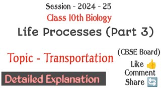 Complete Transportation in just 30 minutes viralvideo video biology class10 [upl. by Tace]