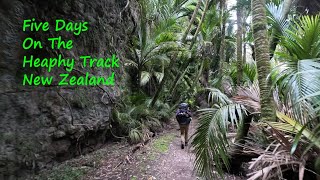 Heaphy Track NZ Takahe [upl. by Fink]