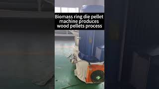 Biomass ring die pellet machine produces wood pellets process [upl. by Hauck]