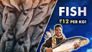 Hyderabad’s Biggest Fish🐟 Market Very Cheap Rate’s On FishPrawn🍤ampCrabs🦀Musheerabad Fish Market [upl. by Adilen494]