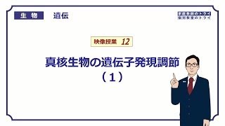 【高校生物】 遺伝12 真核生物の遺伝子発現調節（１）（１２分） [upl. by Elletnwahs570]