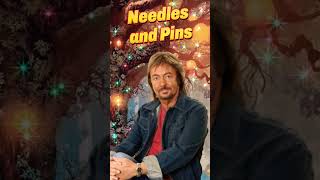 Needles and Pins  Chris Norman [upl. by Ennaimaj]