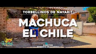 Machuca el chile  Torbellino’s De Nayarit [upl. by Ymer960]