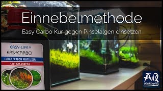 Pinselalgen bekämpfen mit Einnebelmethode  AquaOwner [upl. by Attevroc]