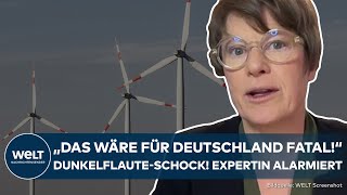 DUNKELFLAUTE quotDas wäre fatalquot  Schock Deutsche Industrie am Abgrund Wirtschaftsweise Grimm warnt [upl. by Attenaej203]