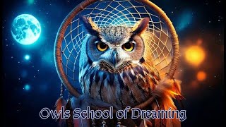 Owls School of Dreaming  Active Imagination technique Carl Jung  guest instructor Rafael Kruger [upl. by Codee]