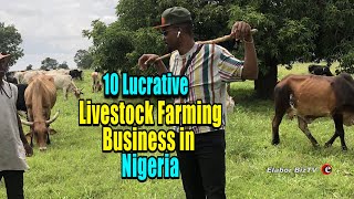 10 Lucrative Livestock Farming Business in Nigeria [upl. by Khichabia485]