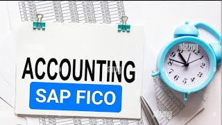 SAP FICO  Step 13  General Ledger Display  Accounting in shorts [upl. by Ecirtnahs]