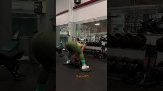 STIFF LEG DEADLIFTS [upl. by Niotna]