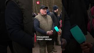 Лукашенко Трамп – мощь лукашенко политика новости беларусь выборы shorts [upl. by Scopp]