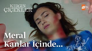 Meral kanlar içinde  Kırgın Çiçekler Mix Sahneler [upl. by Hcirdeirf763]