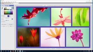 How to create a Picture Collage Picasa 3 [upl. by Paske]