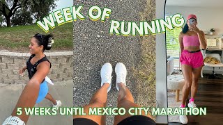 MARATHON TRAINING VLOG 5 Weeks Until Mexico City Marathon [upl. by Livy]