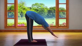 Yoga with Modi Padahastasana English [upl. by Brandes]