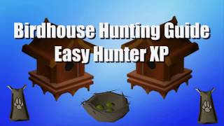 Birdhouse Hunting Guide  Low Requirements  Quick and Easy Hunter EXP OSRS [upl. by Eriuqs]