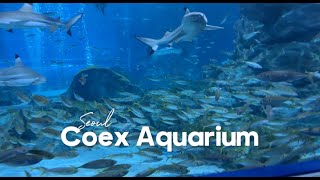 KOREA Travel Vlog🇰🇷  visiting COEX Aquarium [upl. by Lenno76]