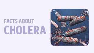 Cholera Causes Symptoms amp Treatment  Diseases Decoded  PrepLadder NEET PG [upl. by Eirroc]